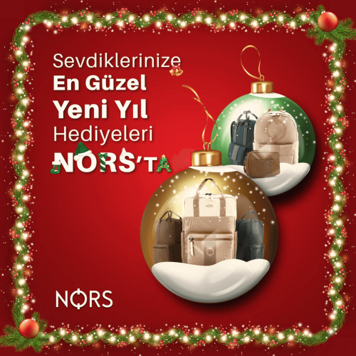 nors_0005_3